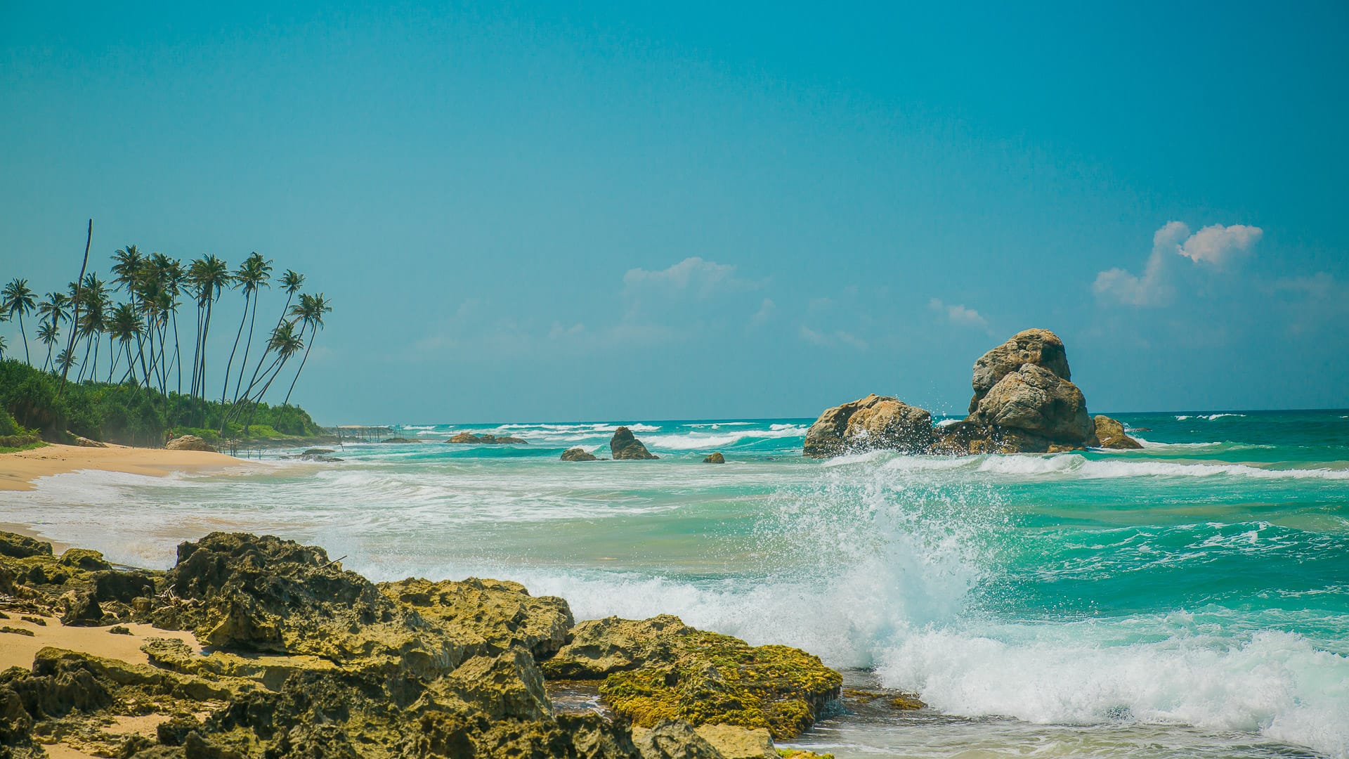 Waves crashing on a rocky beach with palm trees near the shoreline