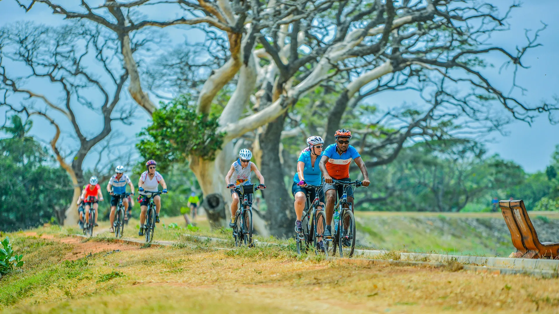 Cyclists riding past twisted trees on a rural Sri Lankan path