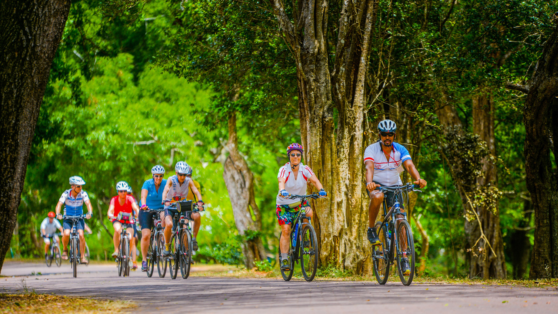 Group of cyclists riding along a shaded road surrounded by greenery in Sri Lanka