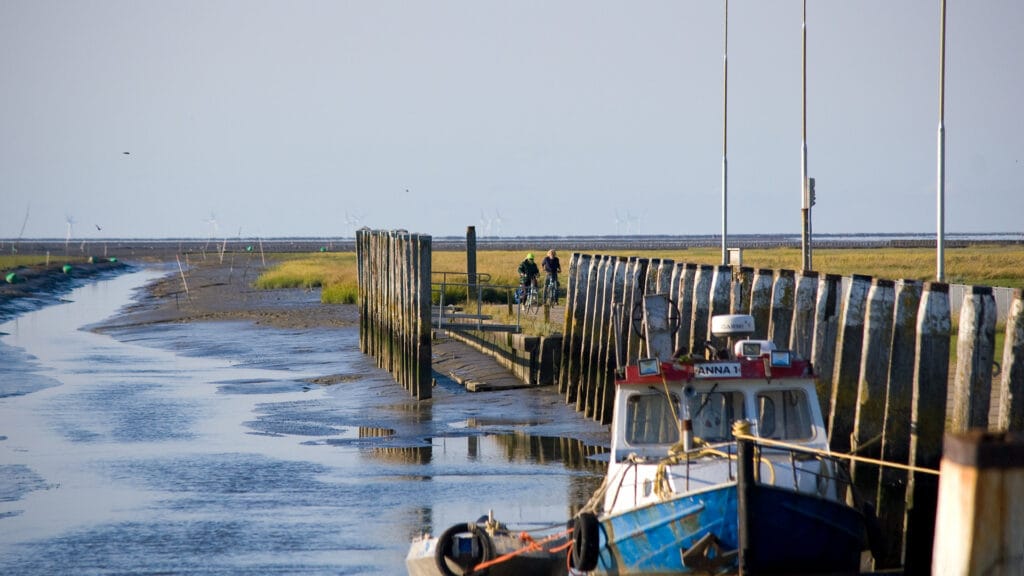 Two cyclist on the netherlands coast