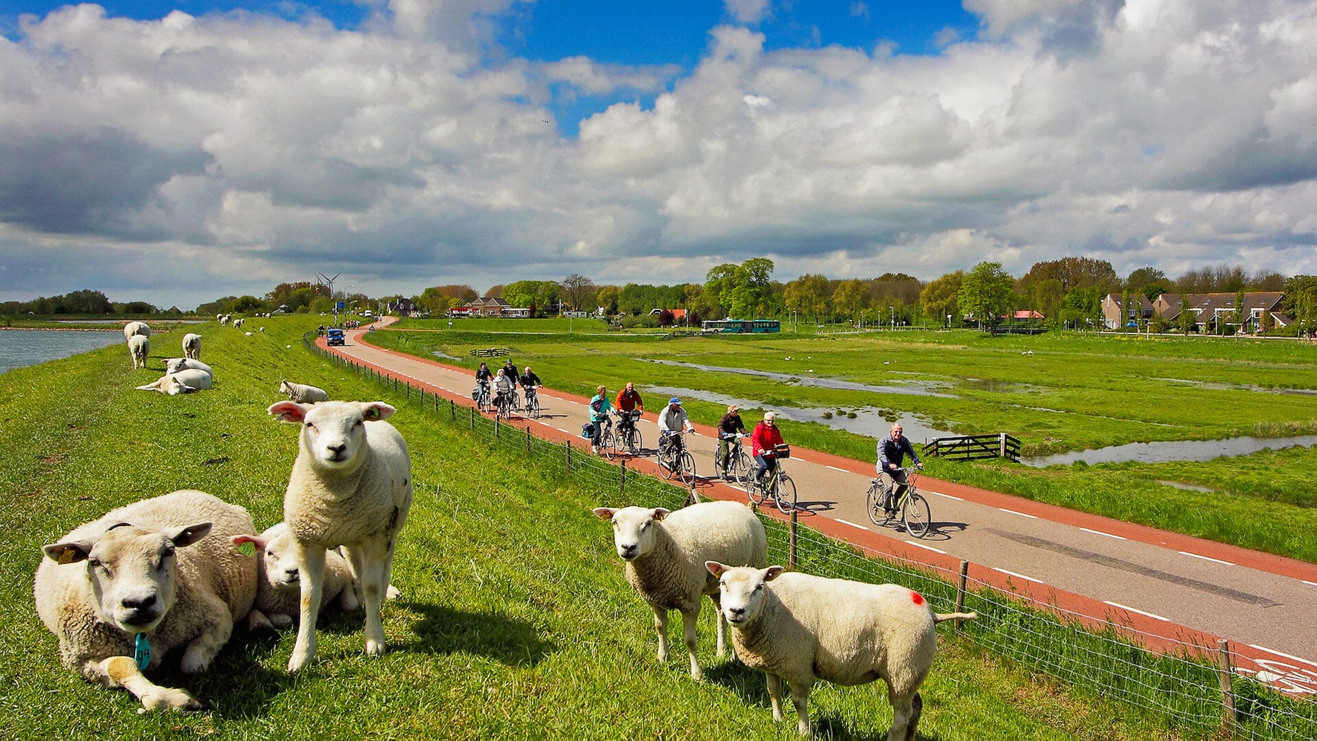 cycling in the netherlands
