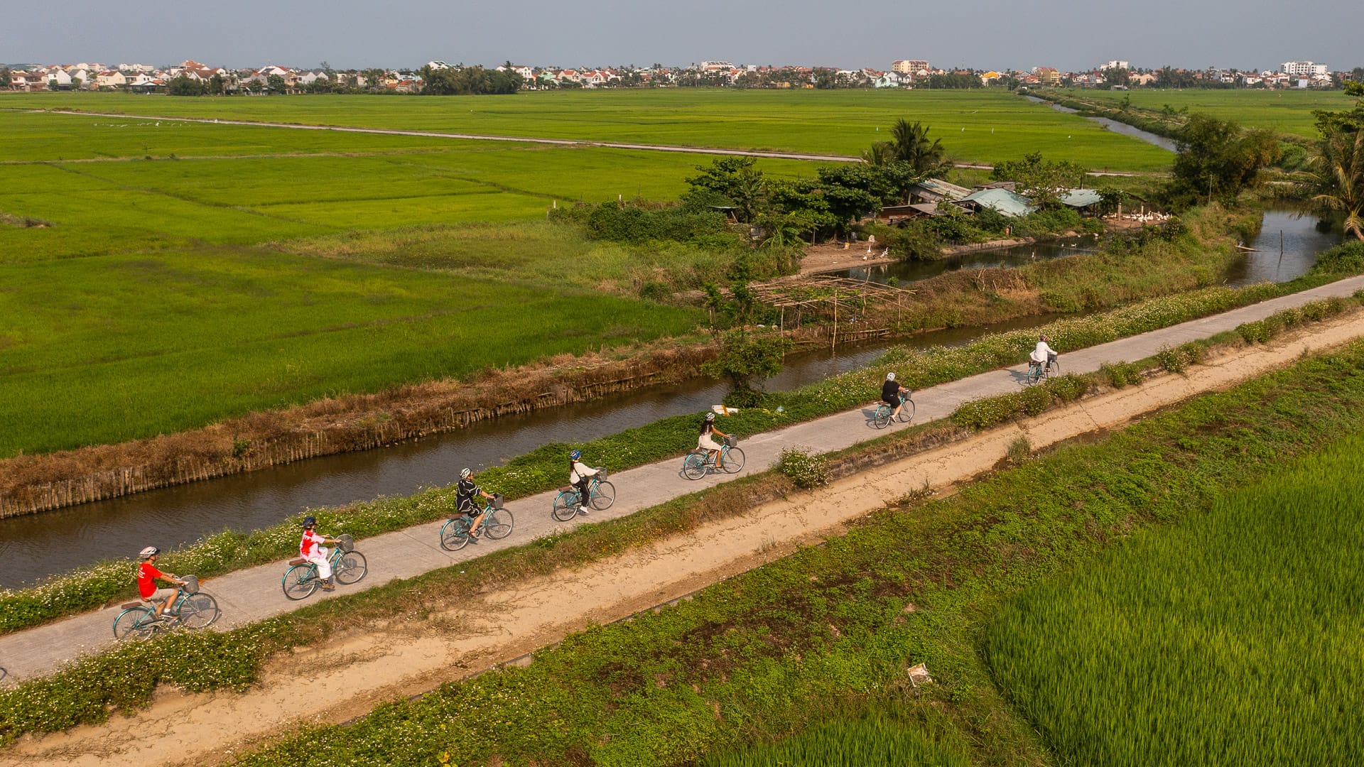 Cyclists riding a rural path through rice fields near Hoi An Vietnam