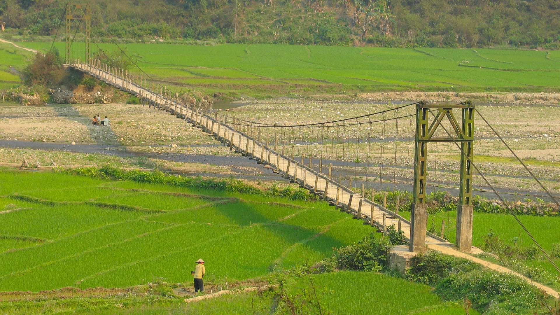 Wooden suspension bridge crossing rice fields in rural Vietnam