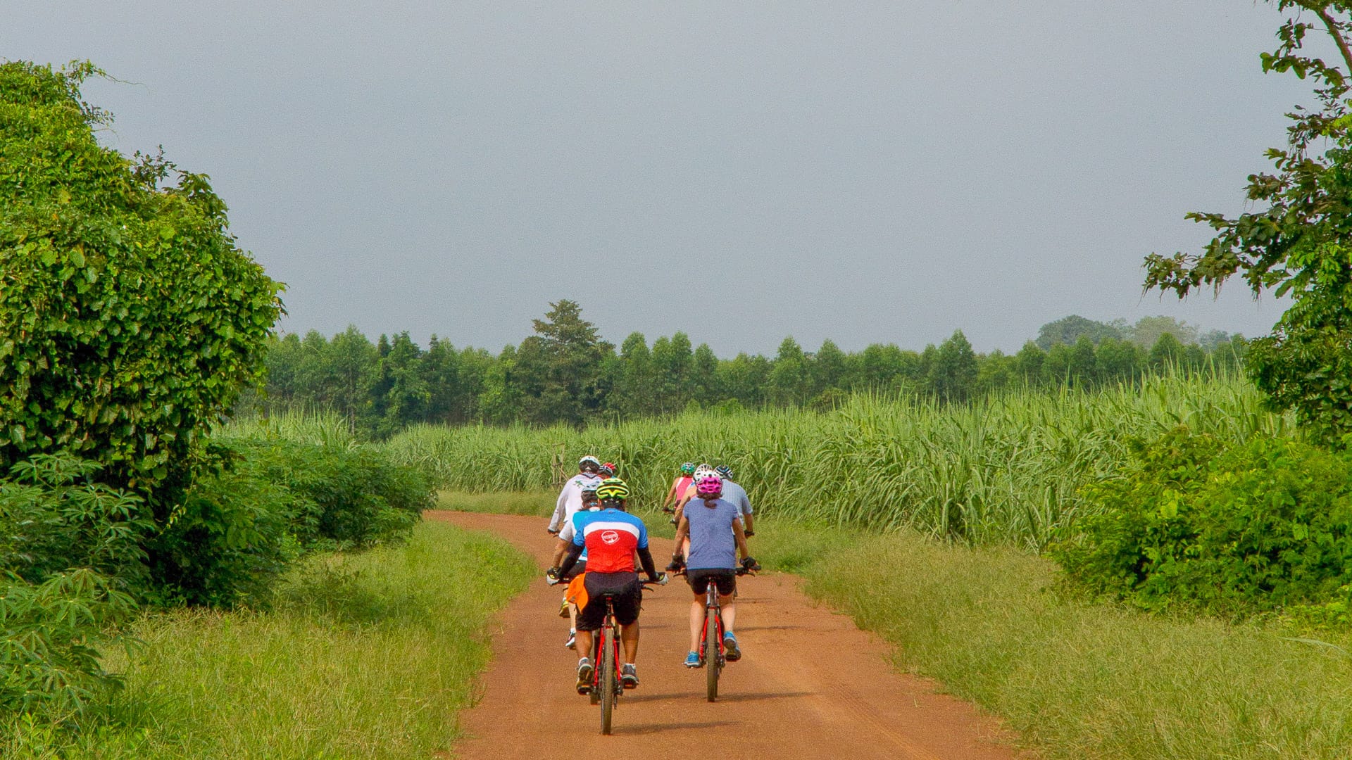 Cyclists ride a red dirt trail through lush green countryside surrounded by tall grass