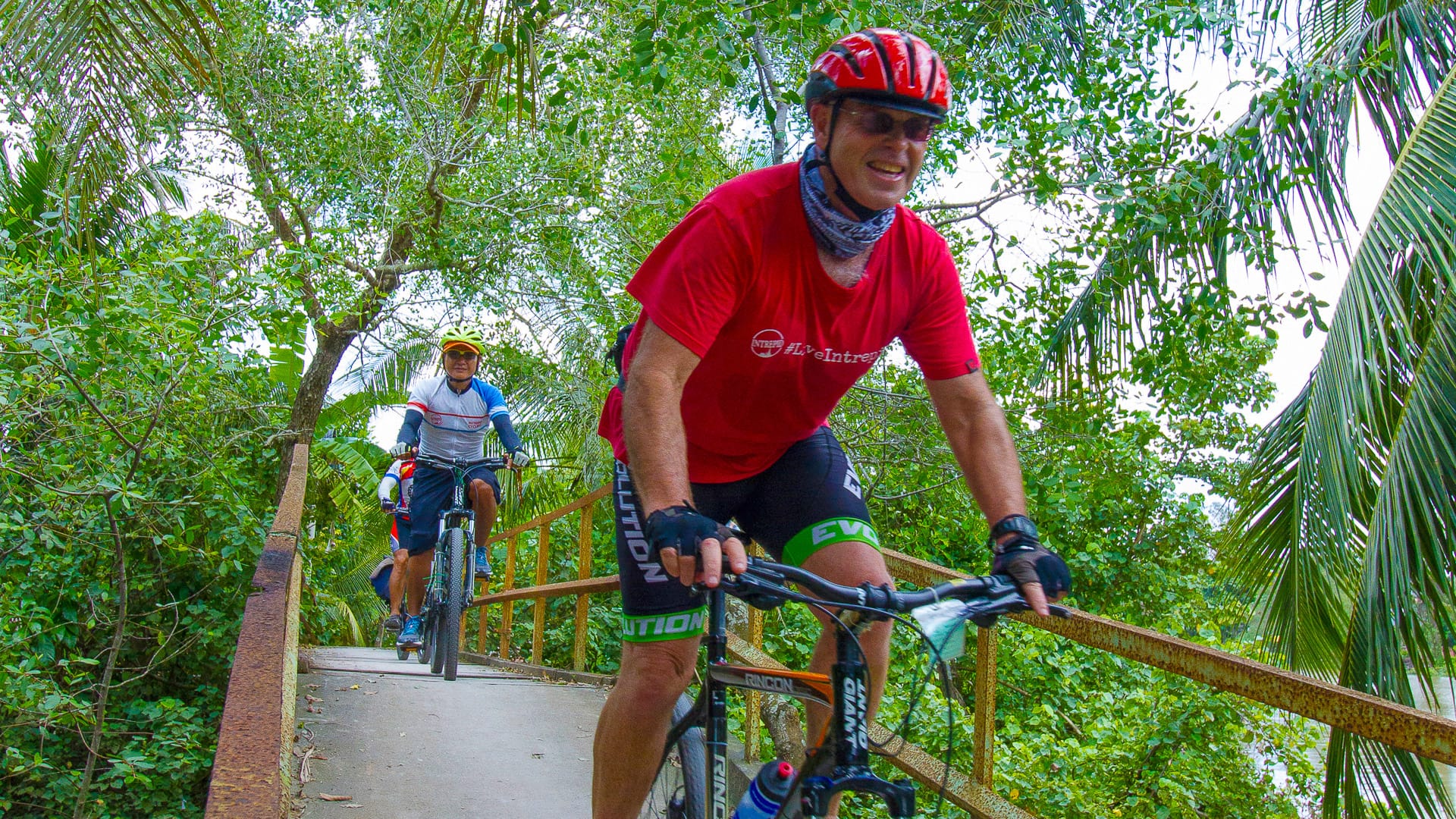 Cyclists crossing a narrow bridge surrounded by lush greenery