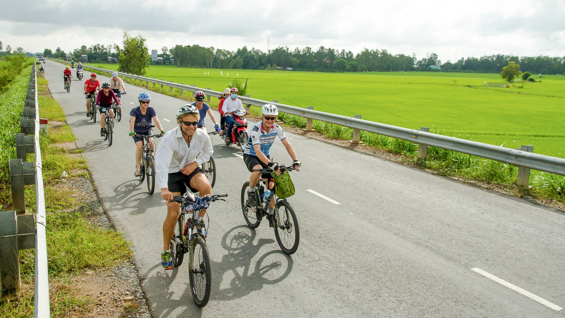 Cyclists riding along a quiet road with green rice fields surrounding both sides