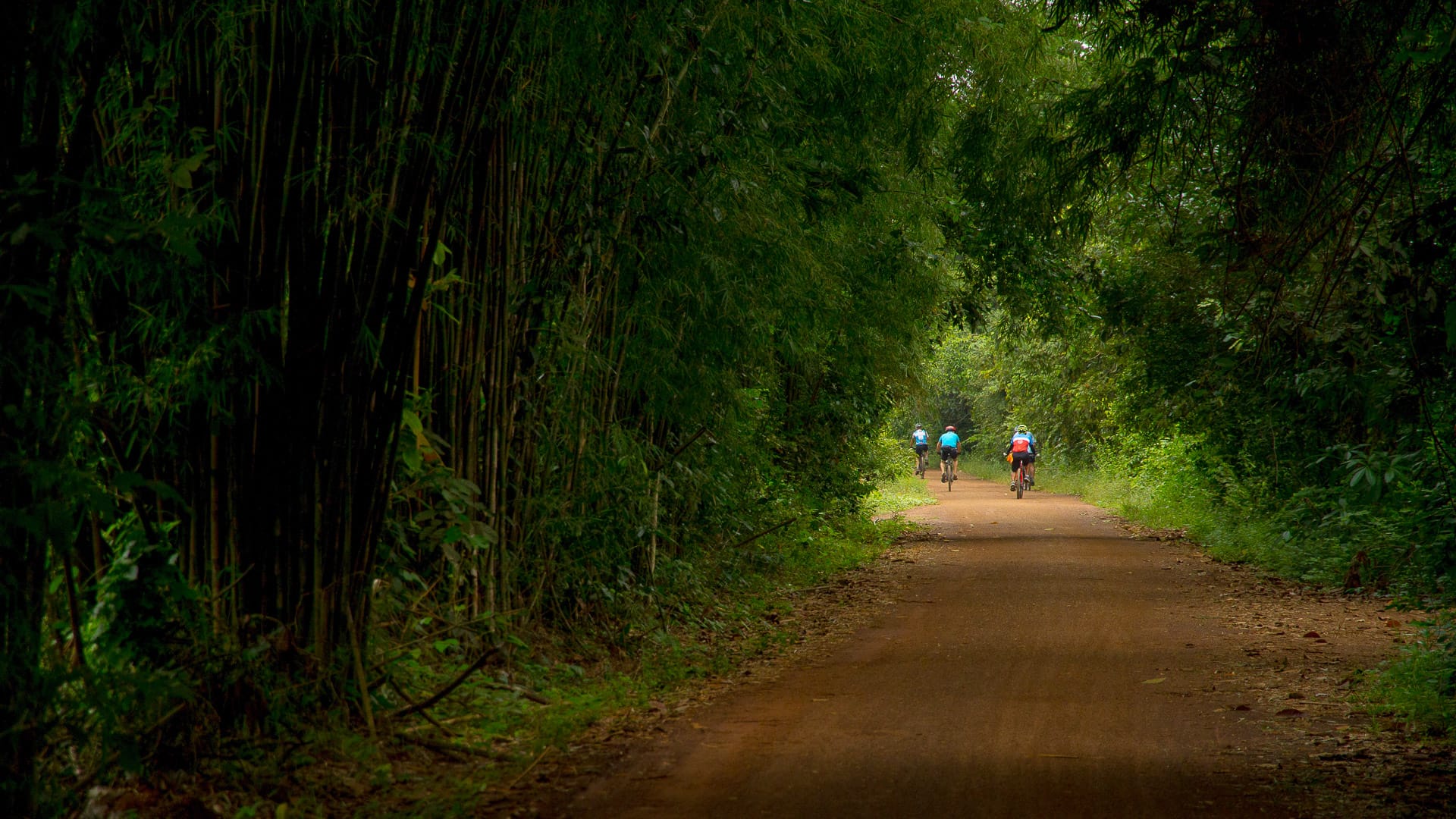 Cyclists riding along a quiet dirt path surrounded by lush bamboo in rural Vietnam