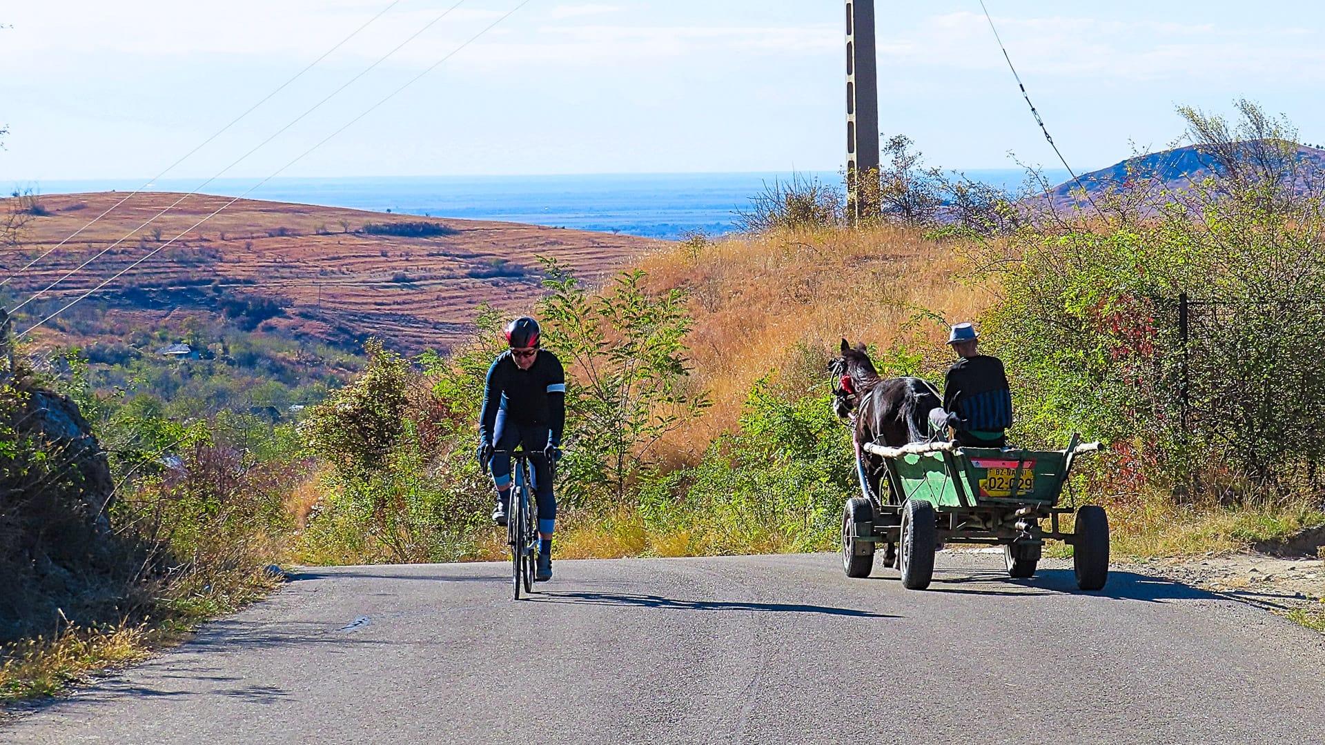 Cyclist riding past a horse-drawn cart on a rural road in Romania’s wine region through the Dealu Mare vineyards