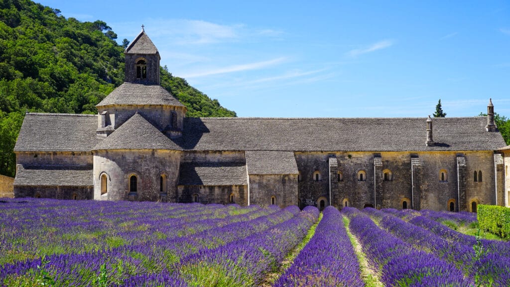 Provence's iconic lavender fields