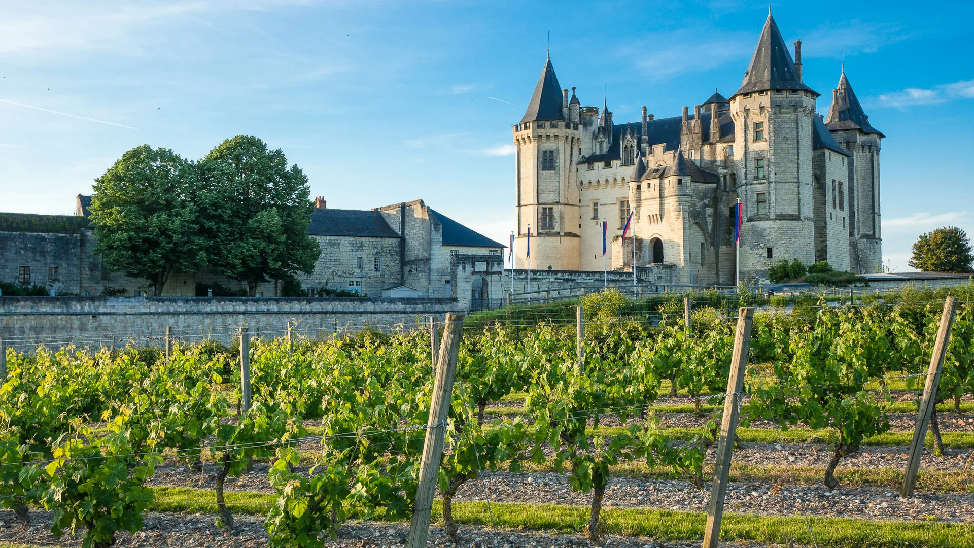 Château de Saumur vineyard view in the Loire Valley