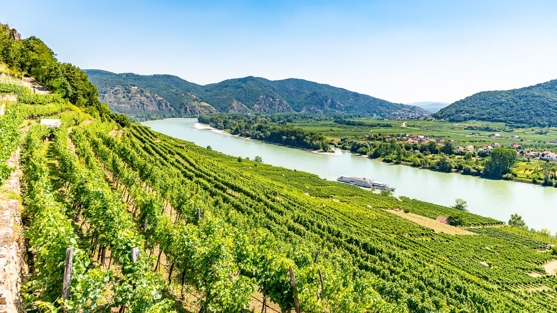 Terraced vineyards above the Danube River in Austria’s Wachau Valley