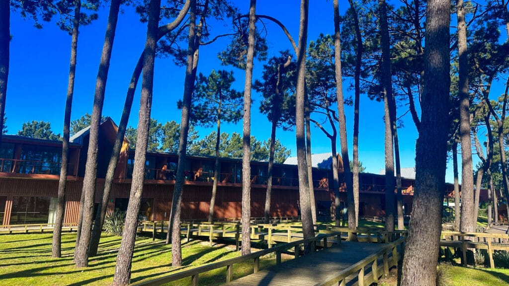 Wooden boardwalk winding through tall pine trees leading to a modern timber lodge under a vivid blue sky