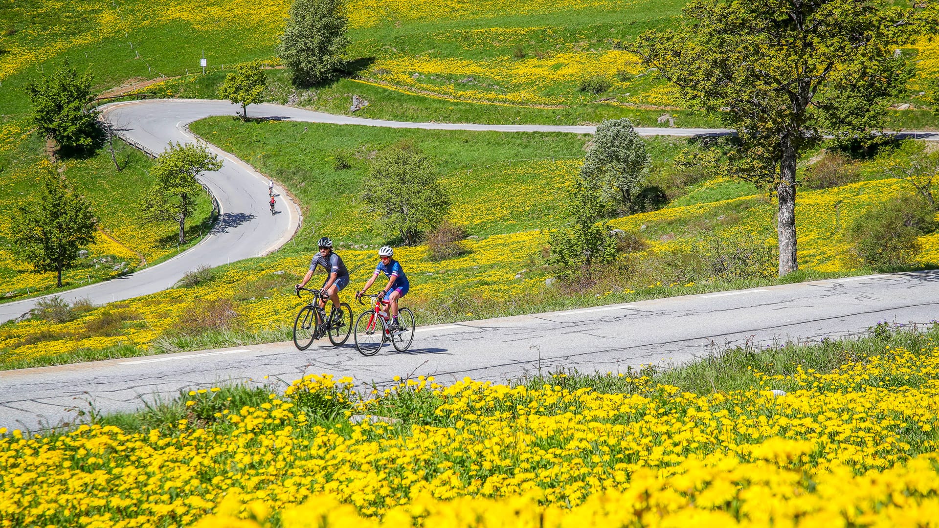 cycling alpe d huez