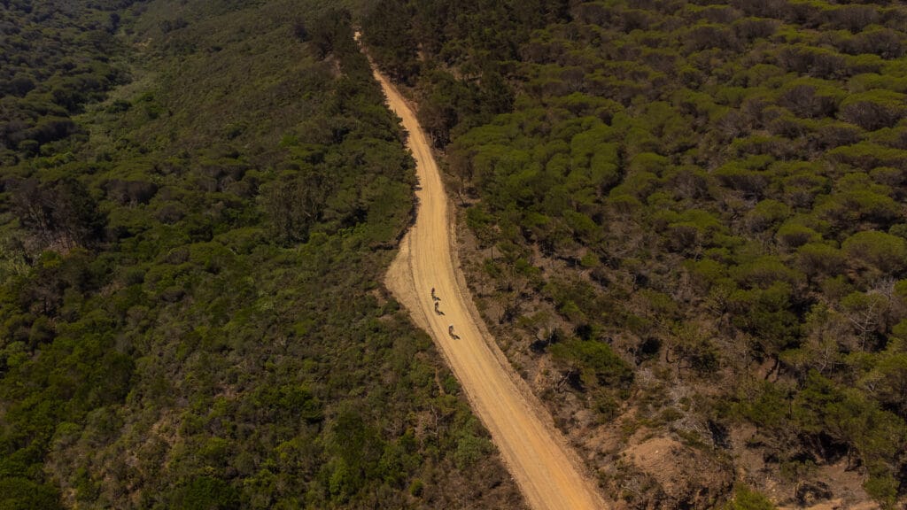 gravel cycling in the algarve
