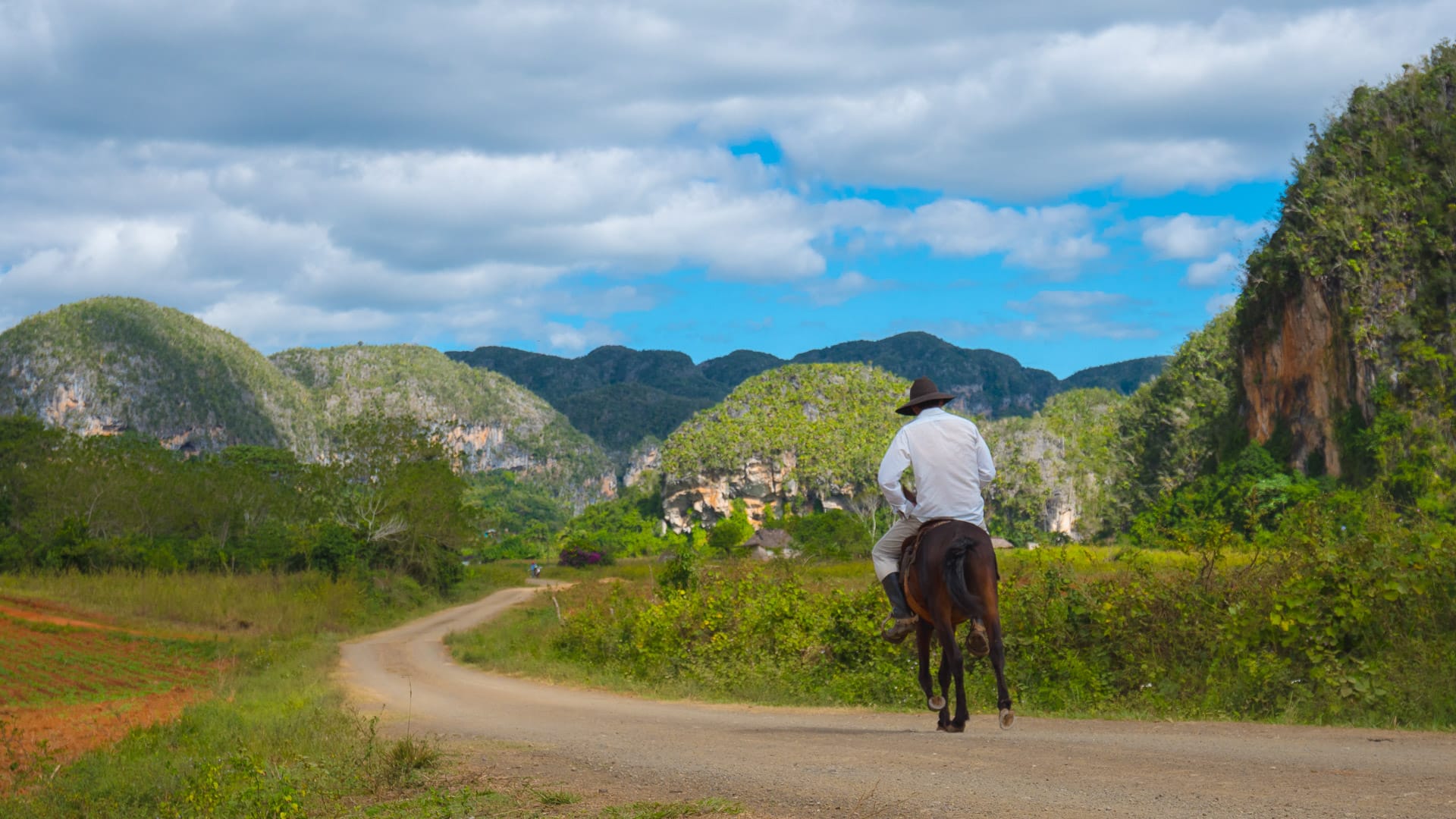 Man riding horseback along a dirt road through lush green in Cuba