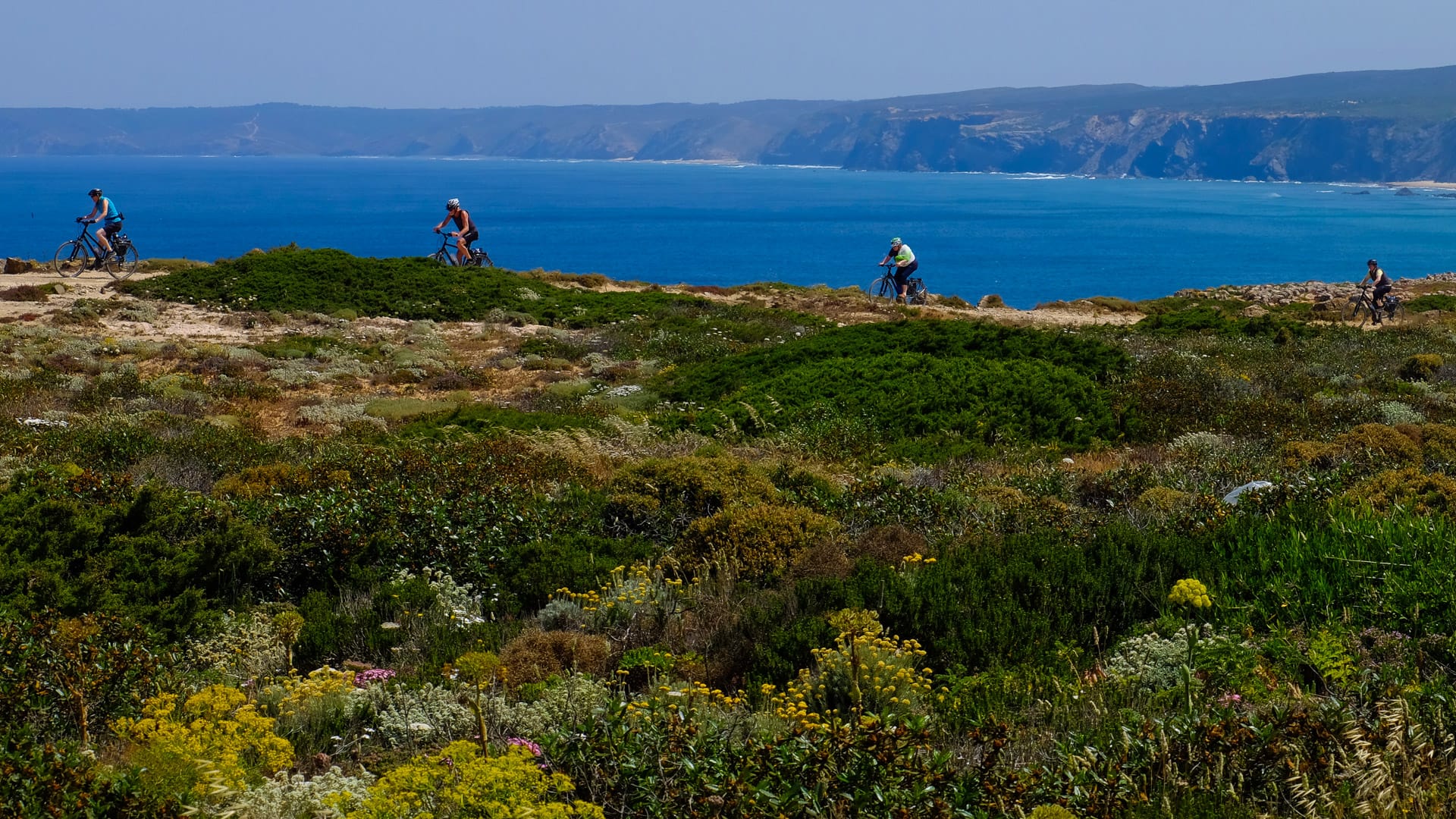Four cyclists riding on coastal trail with wildflowers and shrubs, blue sea and cliffs in background