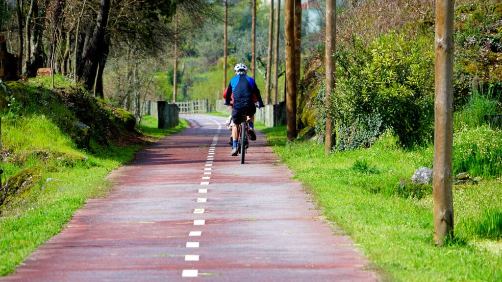 Cyclist riding on red bike path through green countryside with trees and utility poles lining the route