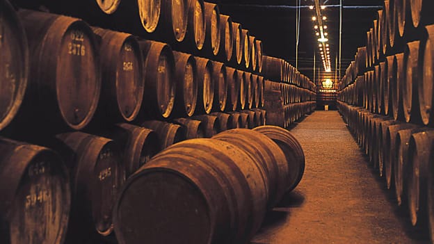 Rows of stacked wooden wine barrels at Taylor’s Wine Cellars, dimly lit with hanging lights creating a warm glow