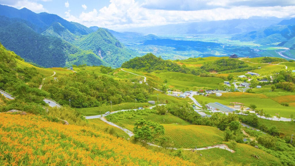 Winding roads and bright daylily fields on Chike Mountain in Taiwan