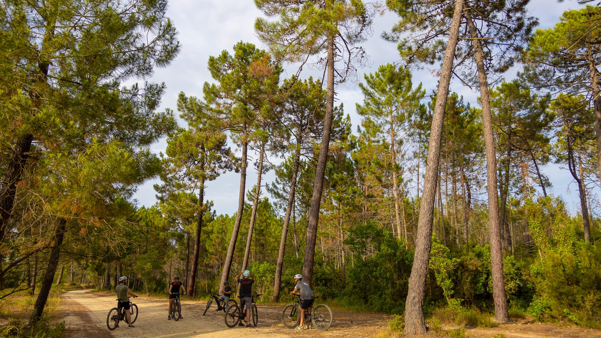 Group of cyclists pausing on a dirt track through tall pine forest in Corsica