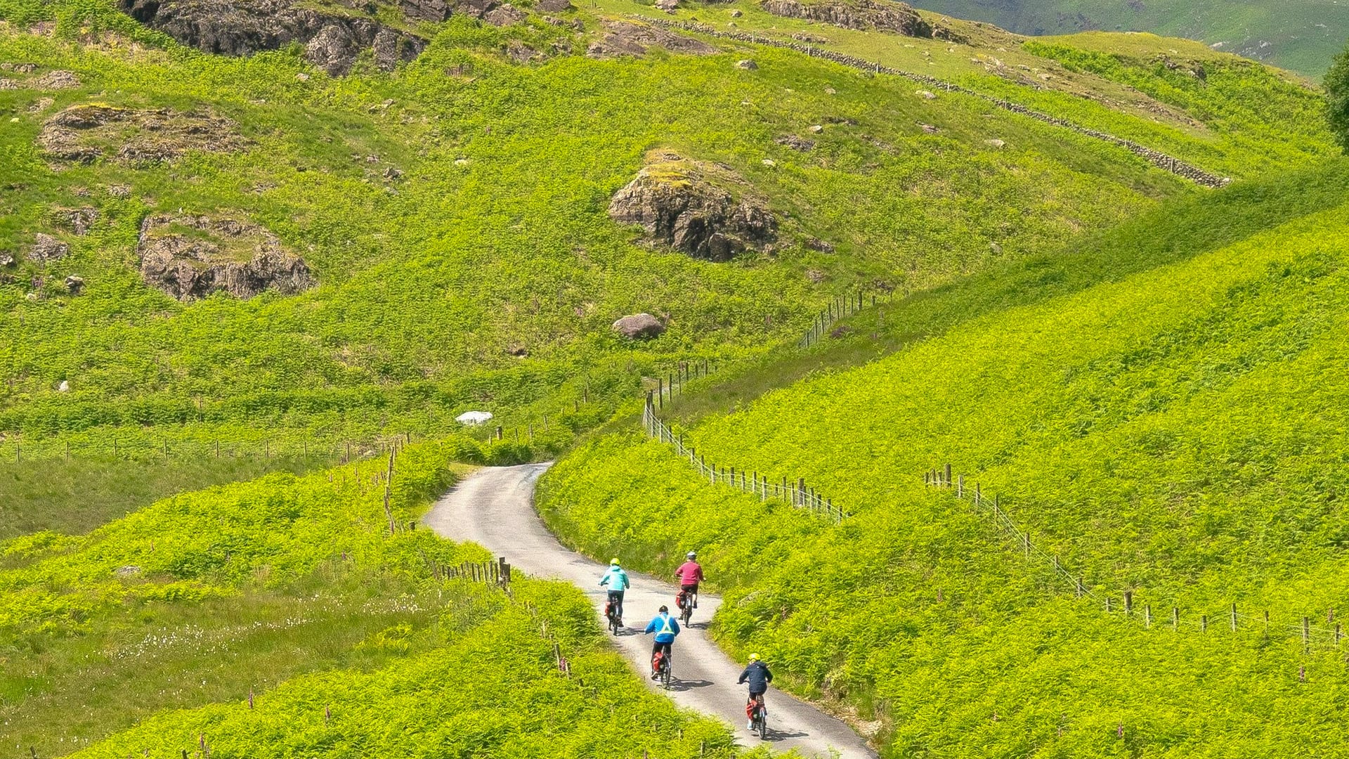 Cyclists riding down winding narrow lane surrounded by lush green hills in Langdale Valley