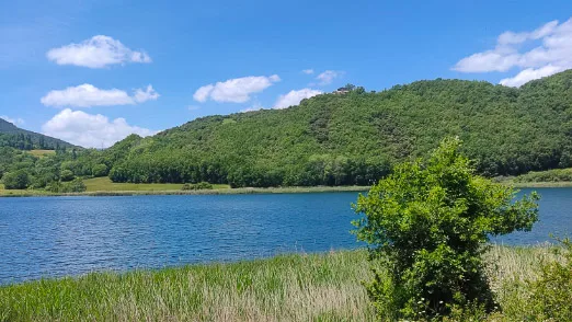 Still blue waters of Montcortès Lake bordered by reeds and forested hills in the Spanish Pyrenees