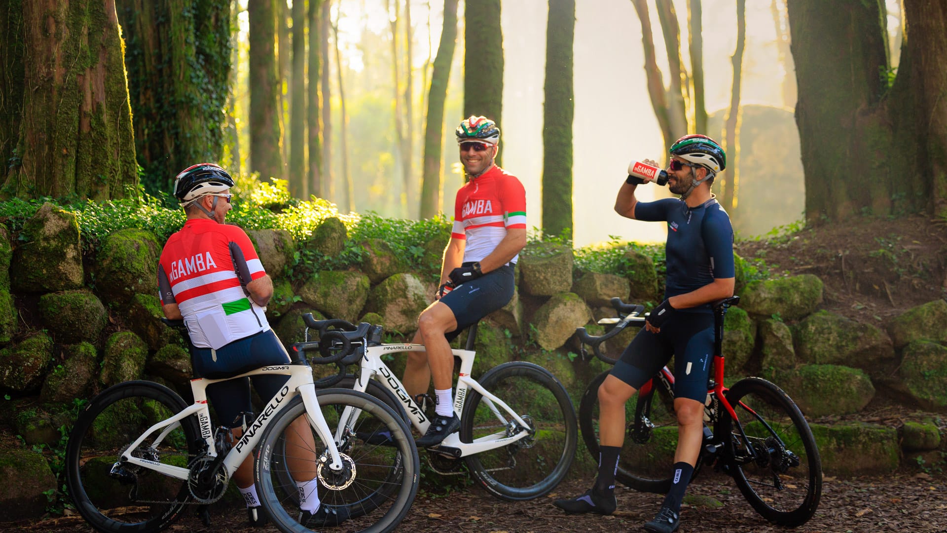 Three cyclists resting with bikes in sun-dappled woodland scenery