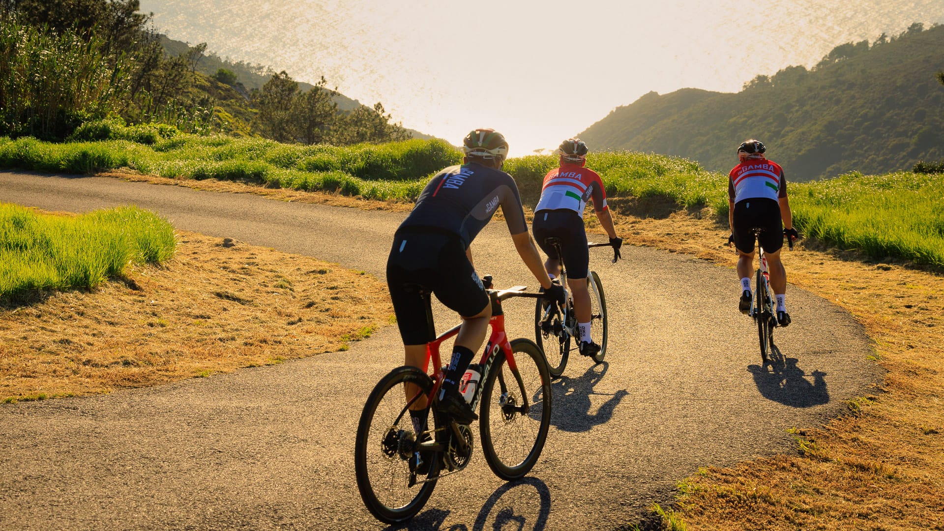 Cyclists riding up a winding coastal road with the sea glowing in the sunset