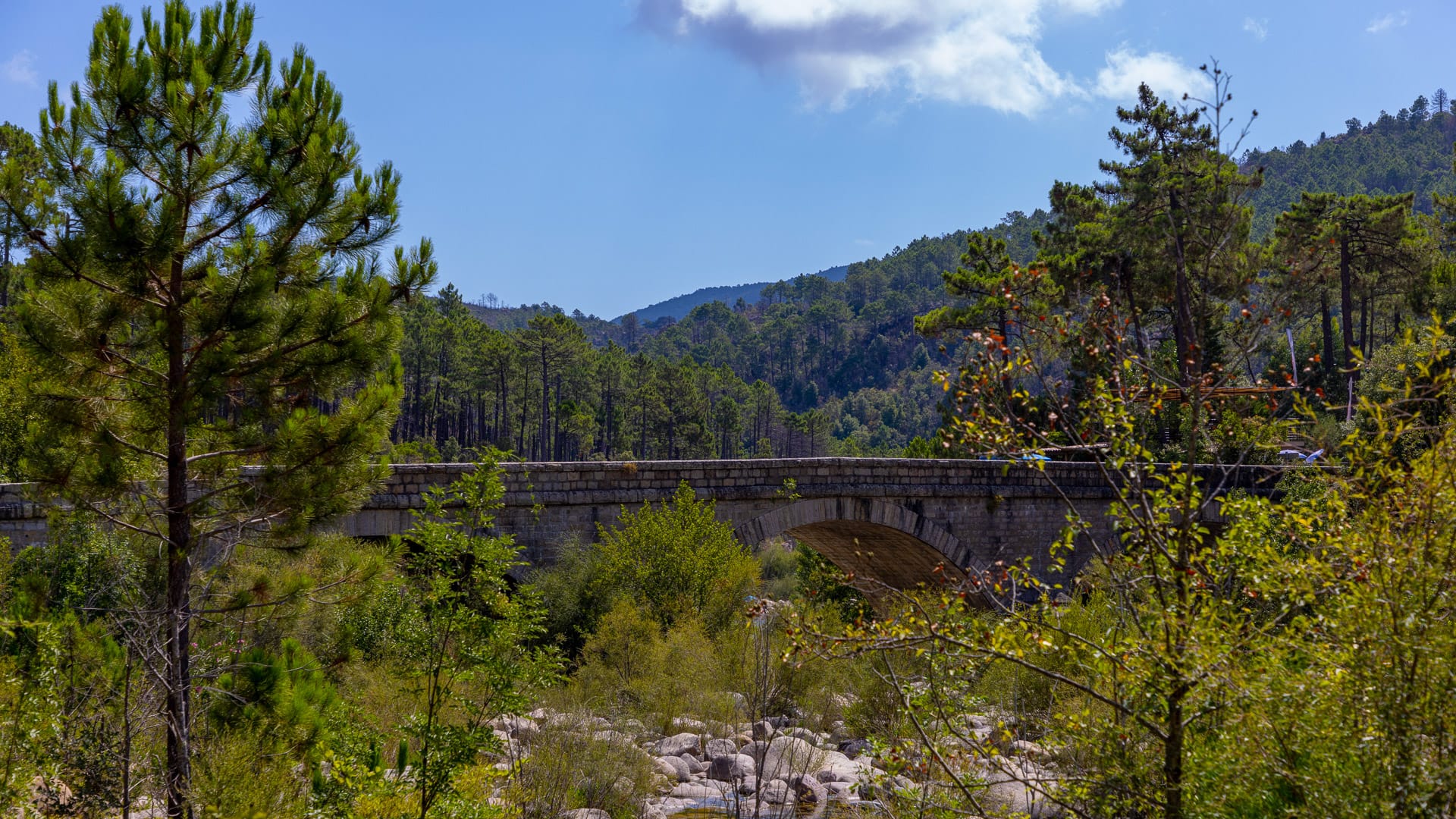 Stone bridge over river near Bavella forest in southern Corsica