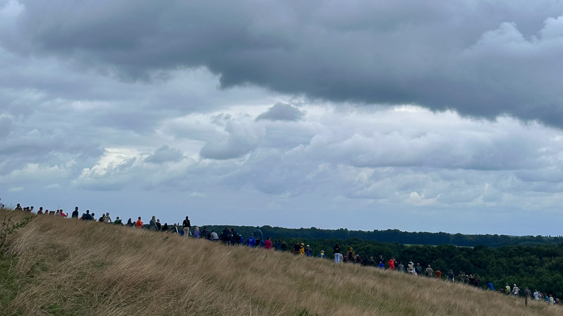 Spectators lined along grassy VAMberg hillside under grey skies during a cycling event in Drenthe
