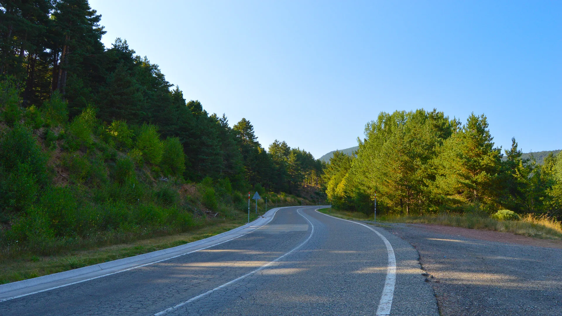 Winding road climbing through forested hills near Port del Cantó