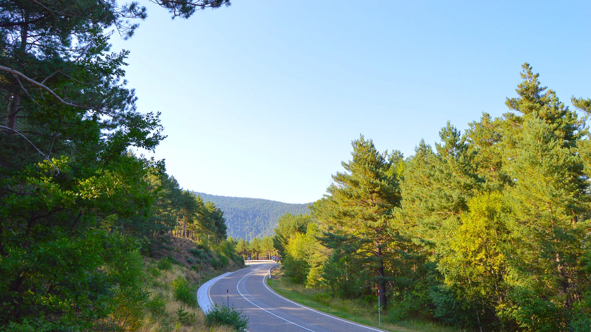 Quiet winding road through pine forest on Port del Cantó climb in Catalonia