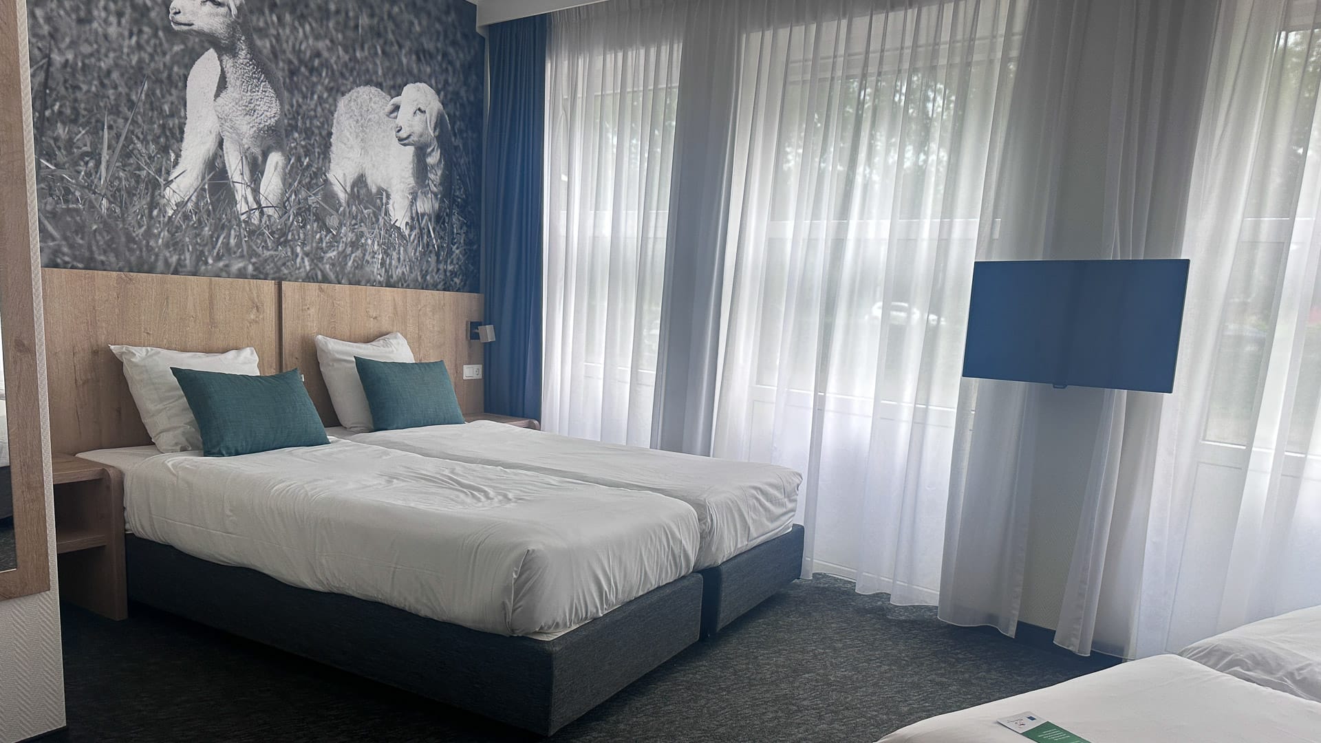 Modern hotel room in Assen with large windows, white bedding and dog mural