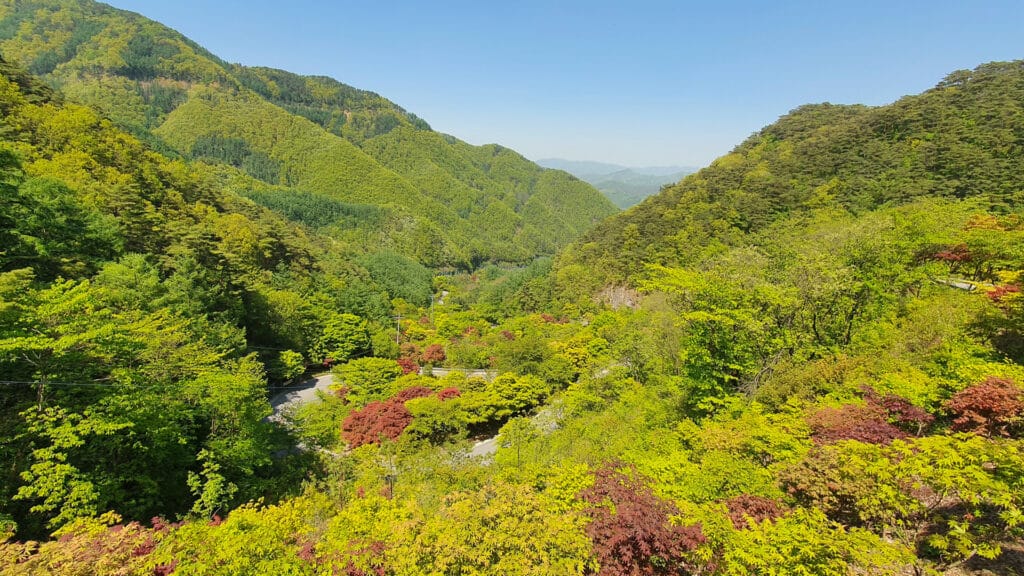 Lush green forested valleys and mountains in Sobaeksan National Park seen from above