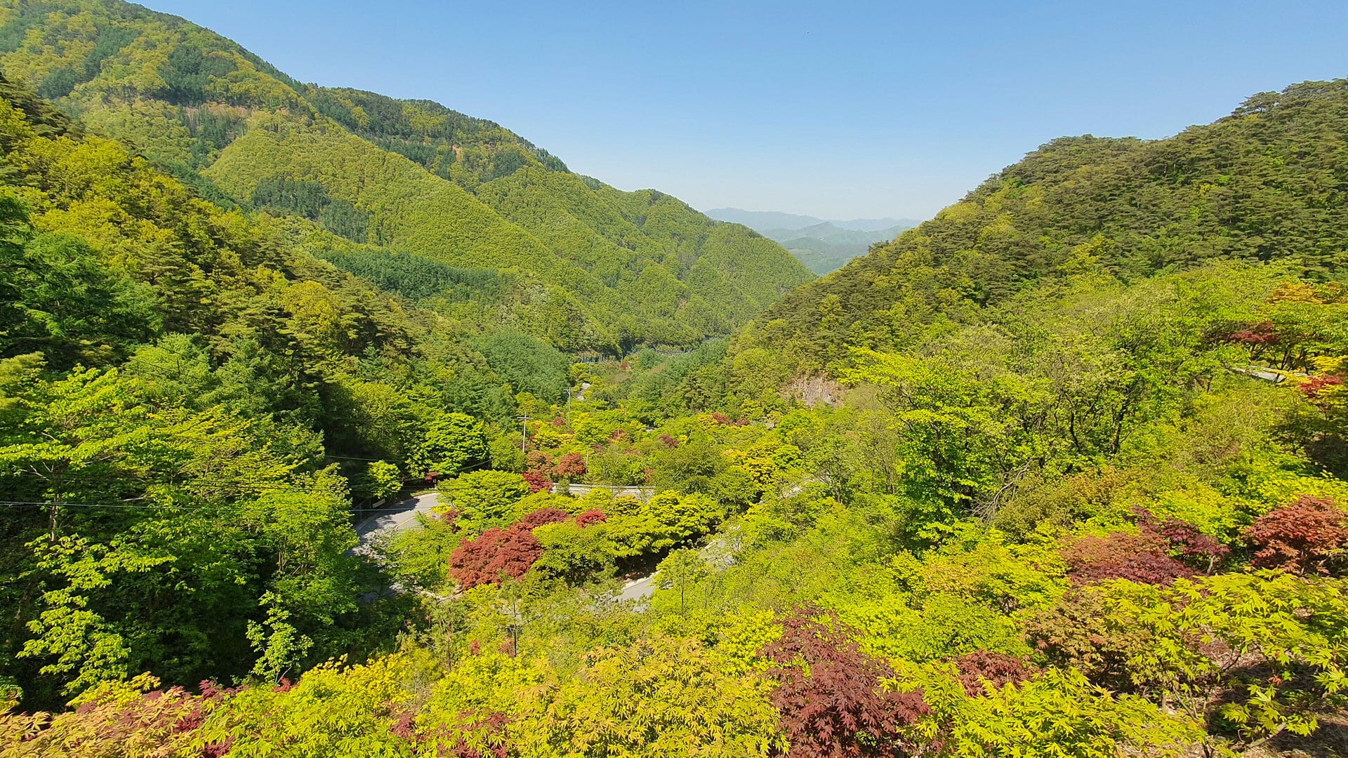 Lush green forested valleys and mountains in Sobaeksan National Park seen from above