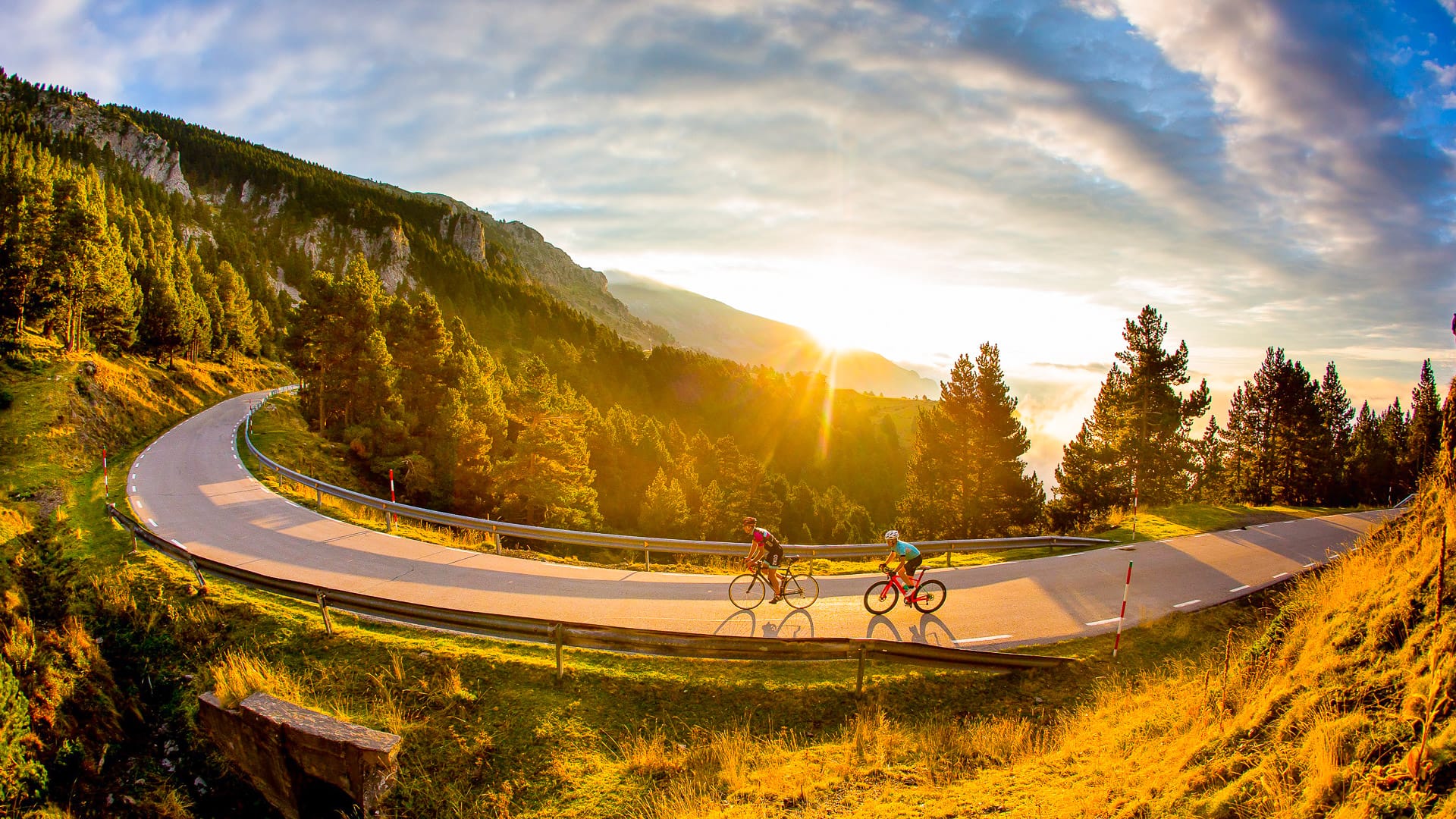 Cyclists pedalling a high mountain switchback road through forested Pyrenees at sunrise