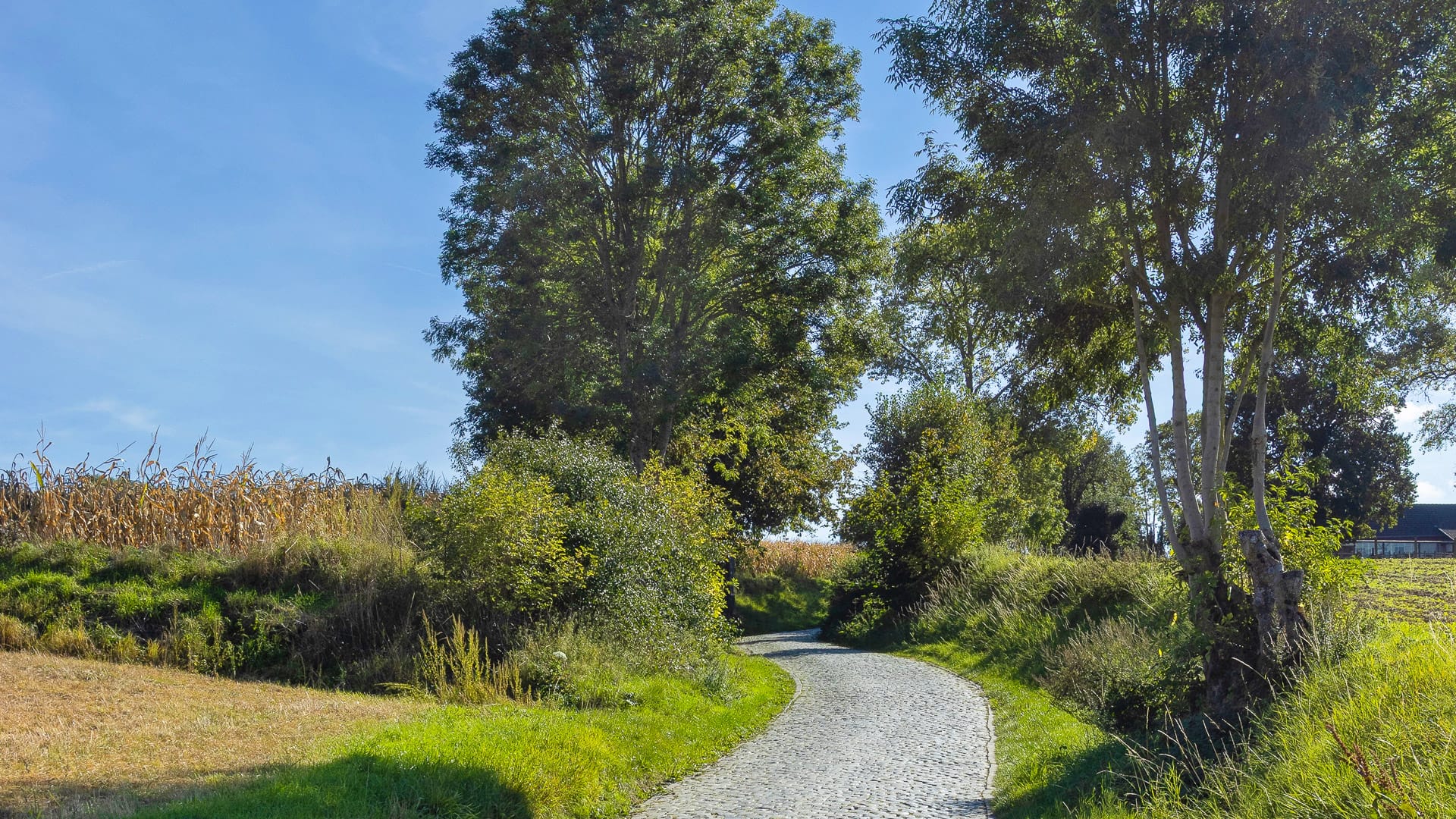 Summer view of the 'Oude Kwaremont' Climb, well known from the Tour of Flanders bike race. It is a cobblestoned hill near Kluisbergen in the Flemish Ardennes of Belgium.