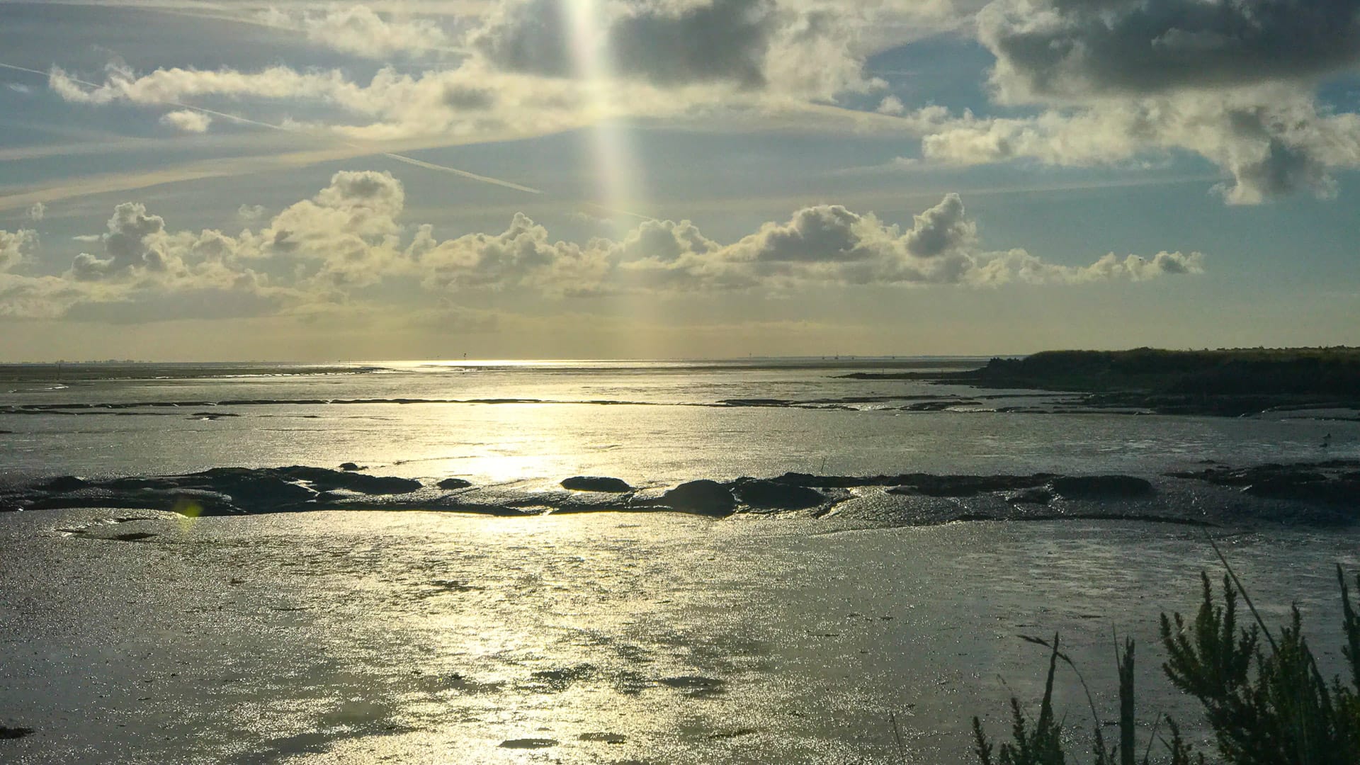 Striking, watery landscapes around Loix