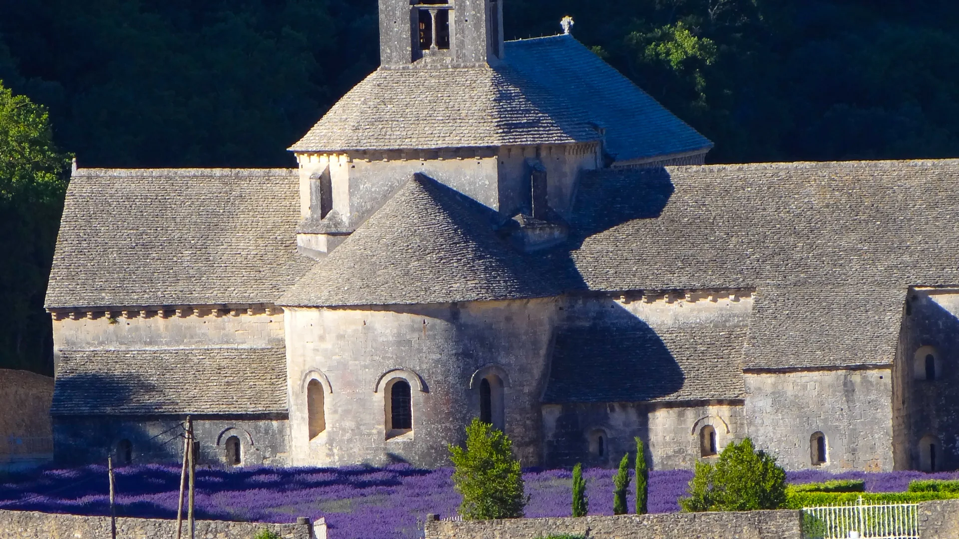 Abbey de Senanque, Luberon with lavender fields