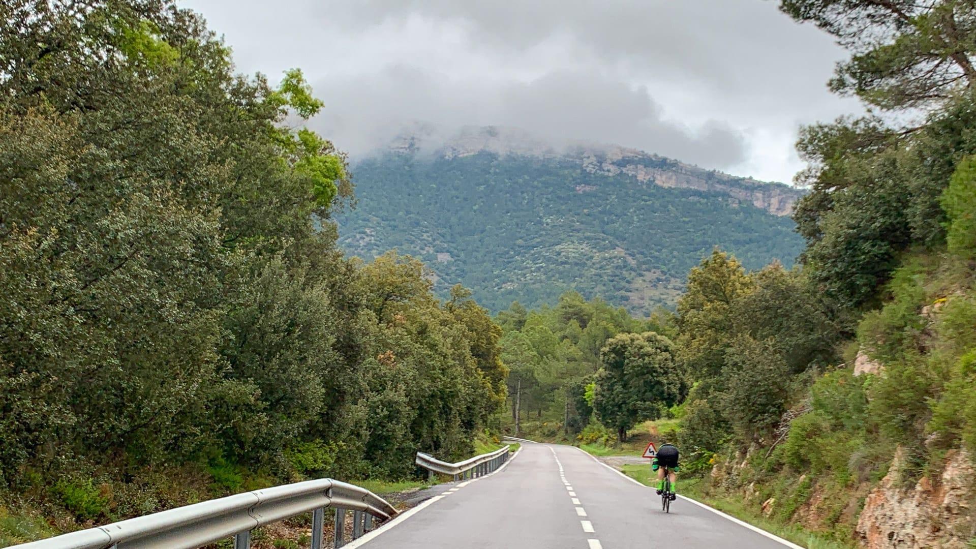 Cyclist riding towards misty forested hills on a peaceful Tarragona mountain road