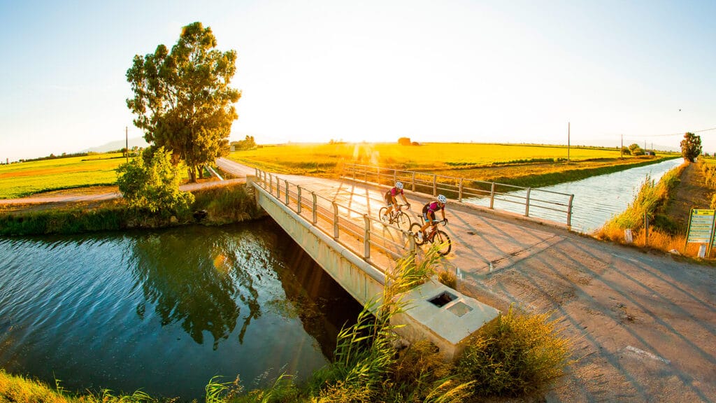 Cycling tour around Ebro Delta