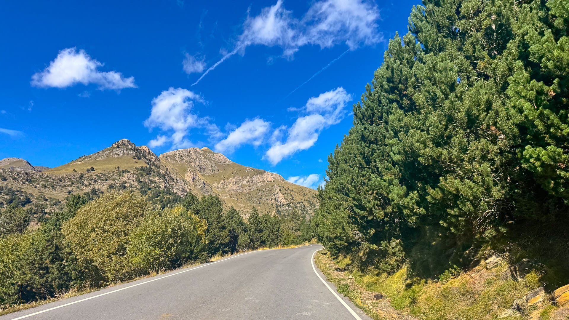 Climbing road in high Andorran mountains lined with pine trees and rocky slopes, under streaked clouds and deep blue sky