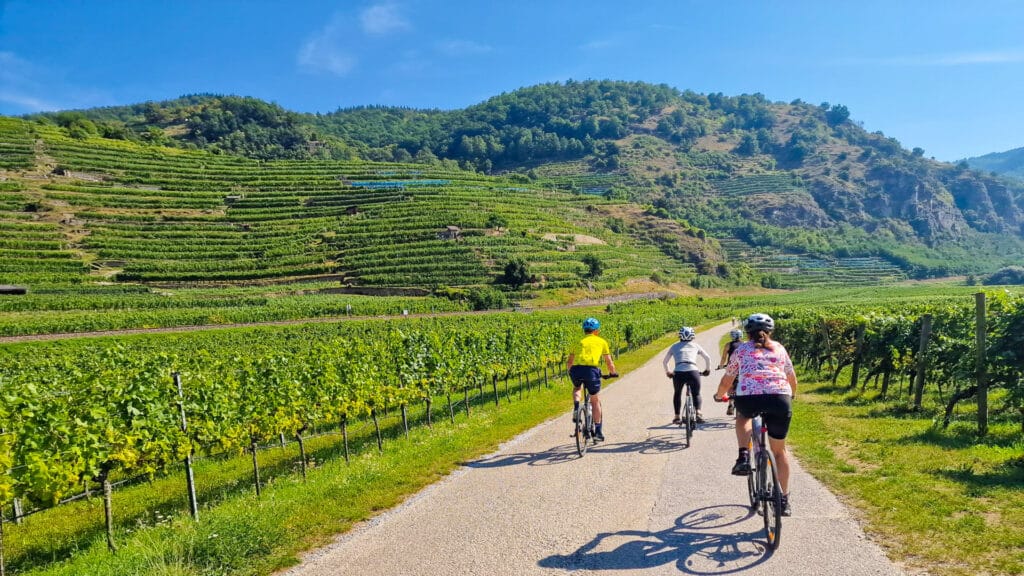Cyclists riding through vineyard-lined roads surrounded by terraced hills in the Wachau Valley, Austria
