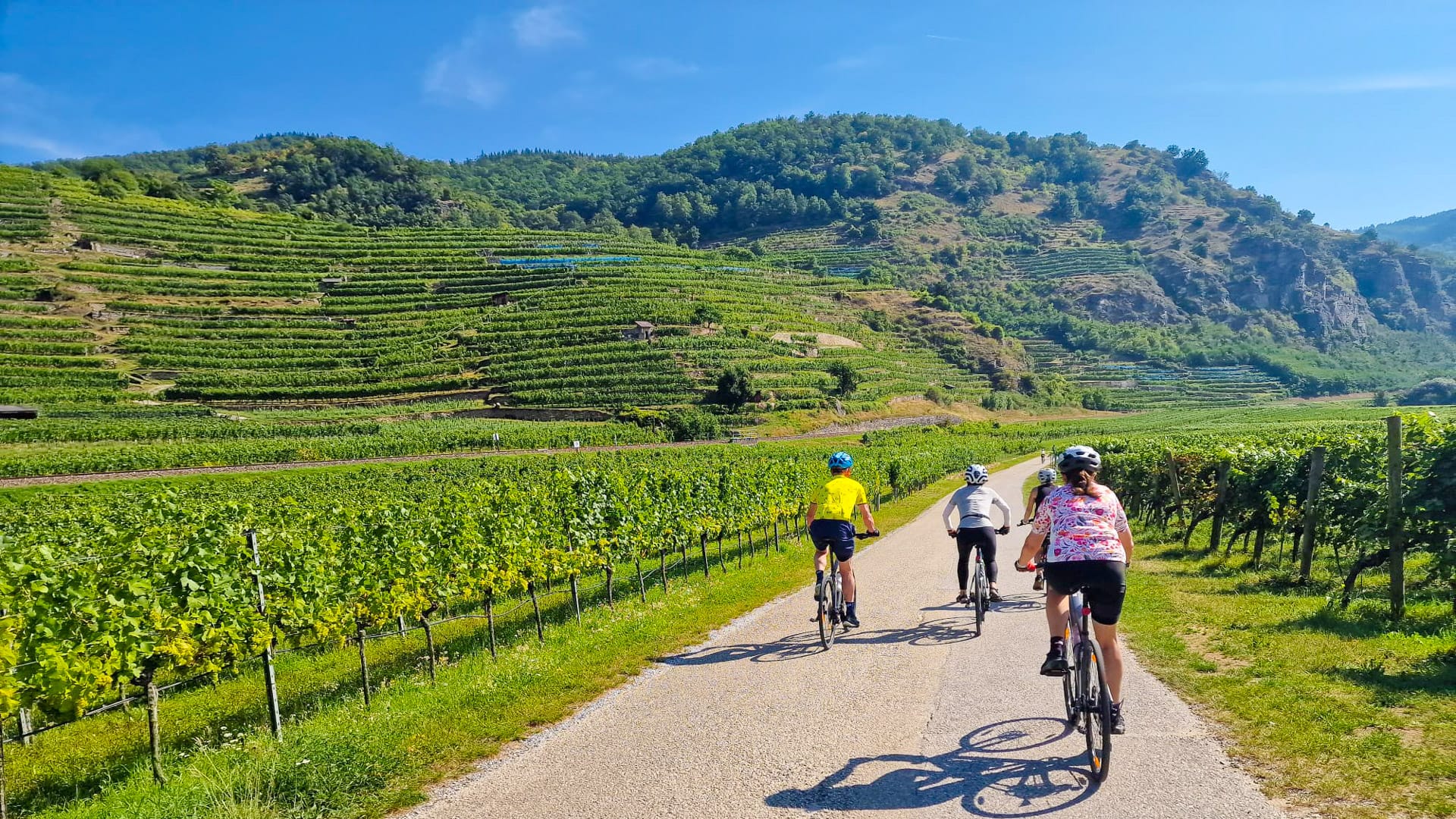 Cyclists riding through vineyard-lined roads surrounded by terraced hills in the Wachau Valley, Austria