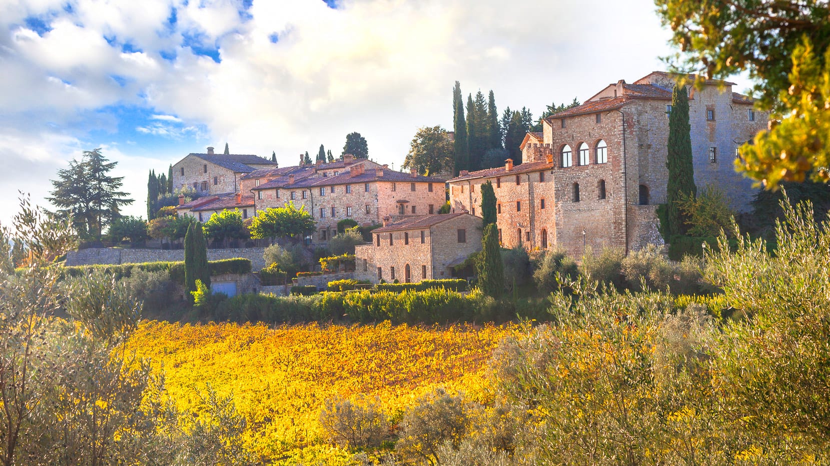Traditional rural landscapes of Tuscany; Chianty vine region