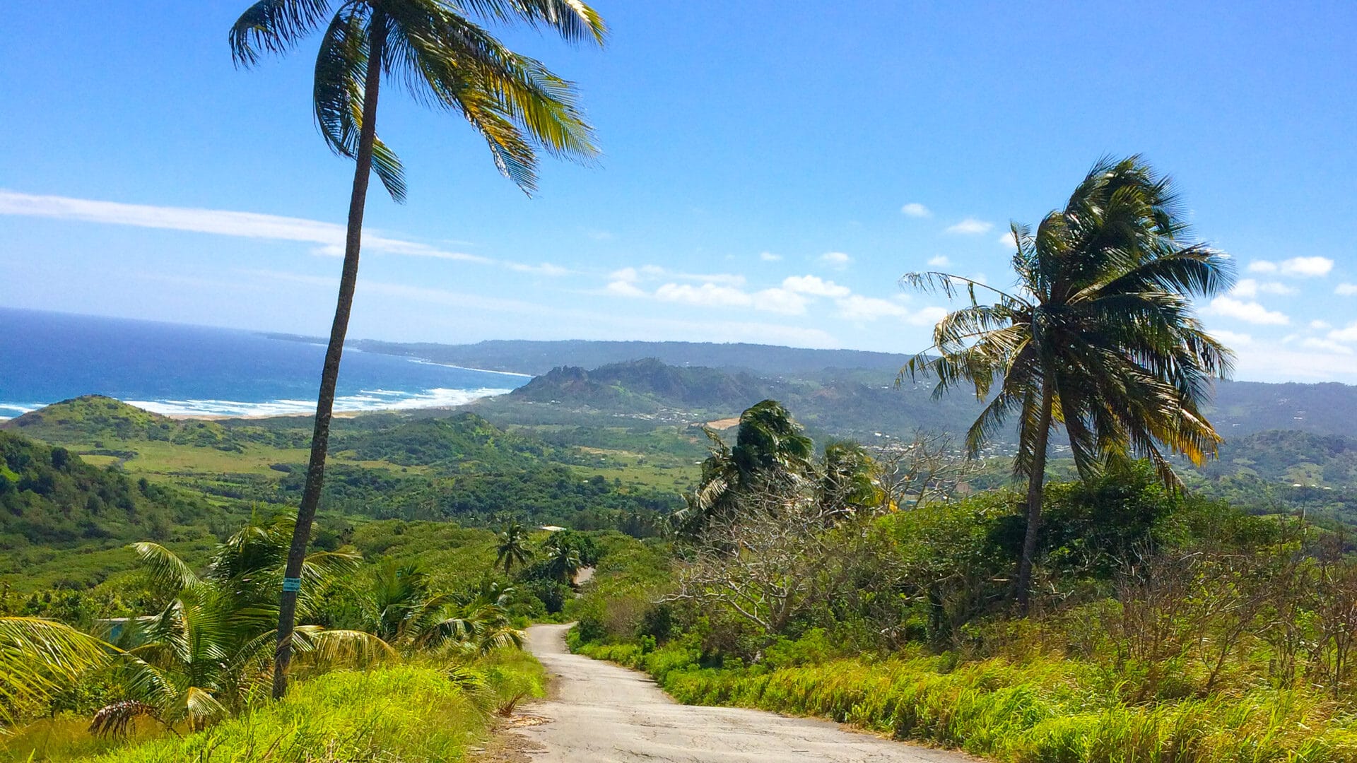 Picturesque path while cycling Barbados