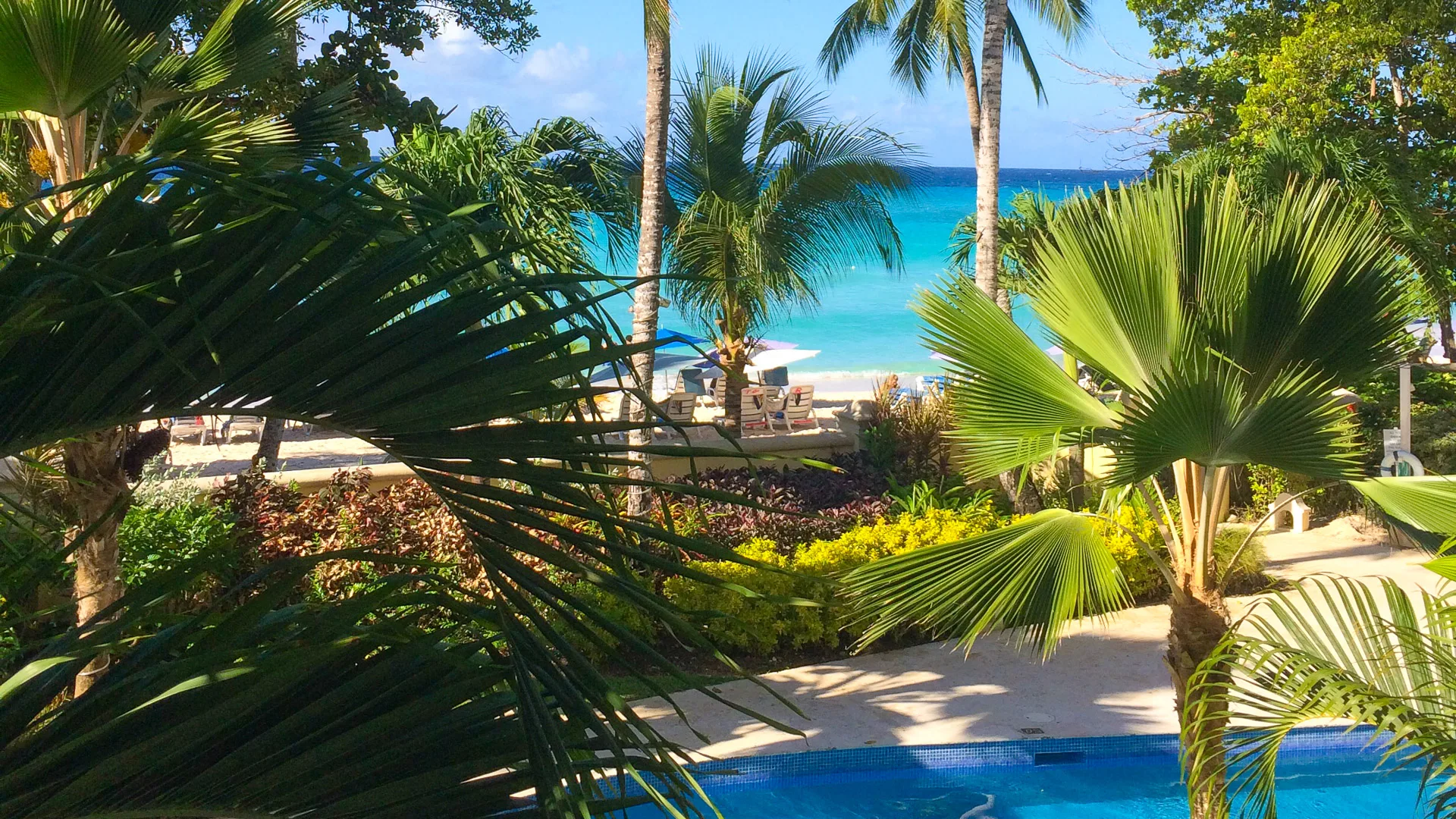 Tropical beach view with turquoise sea framed by palm trees in Barbados