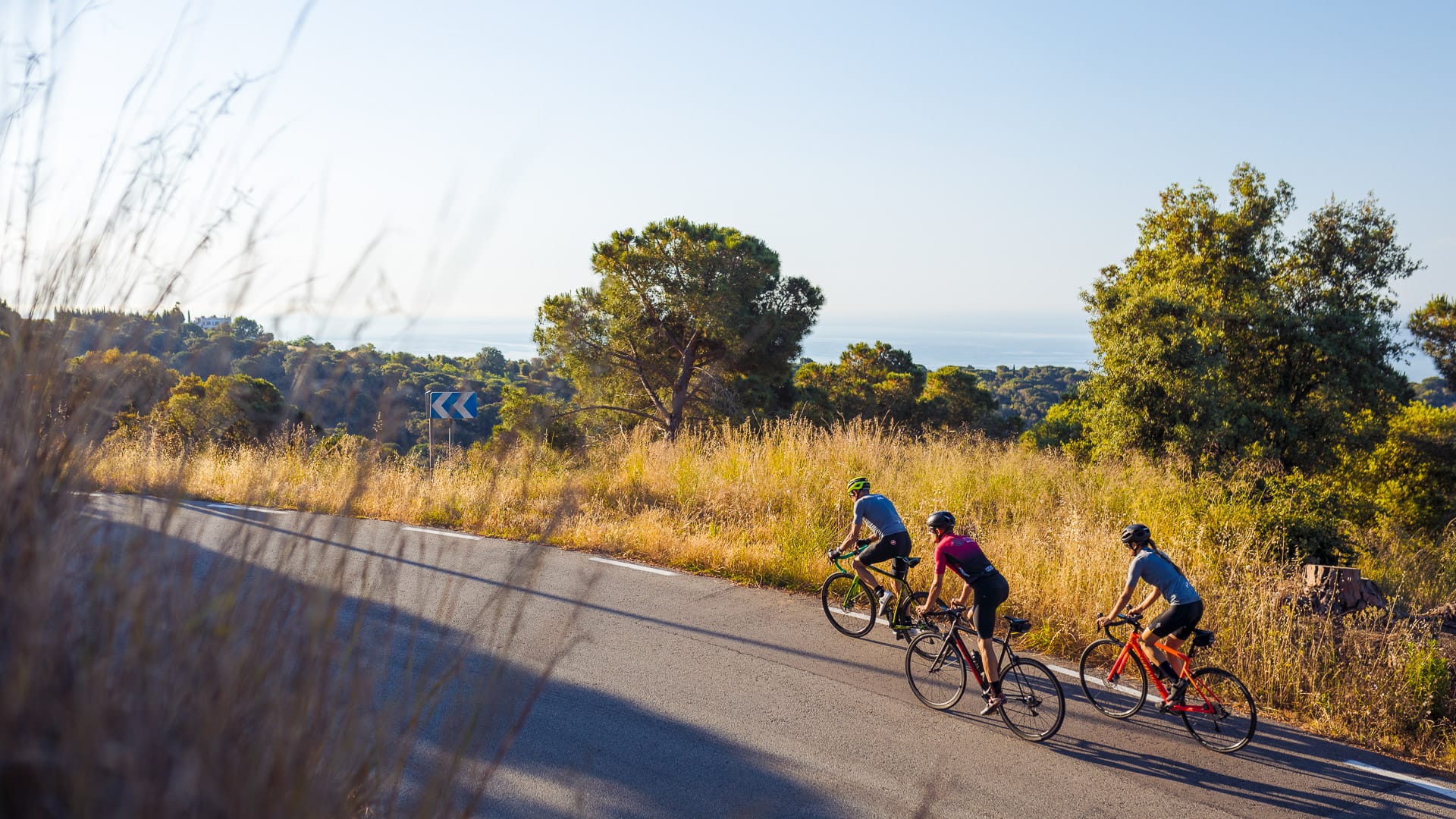 Cyclists in the Maresme region near Barcelona, Spain