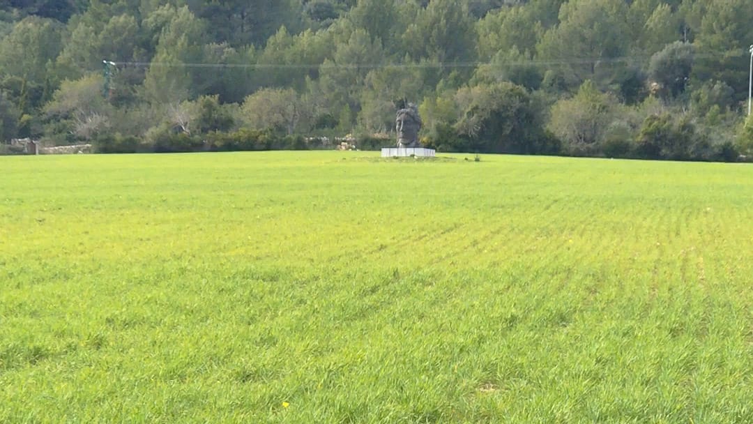 Green field with rural statue surrounded by trees near Campanet in Mallorca