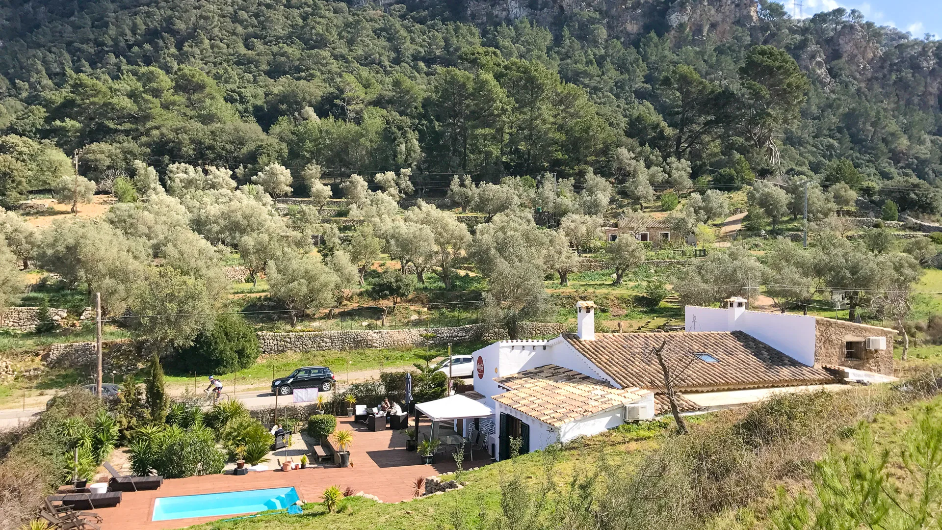 White finca with terrace and small pool set among olive trees at the foot of the Tramuntana mountains in Mallorca